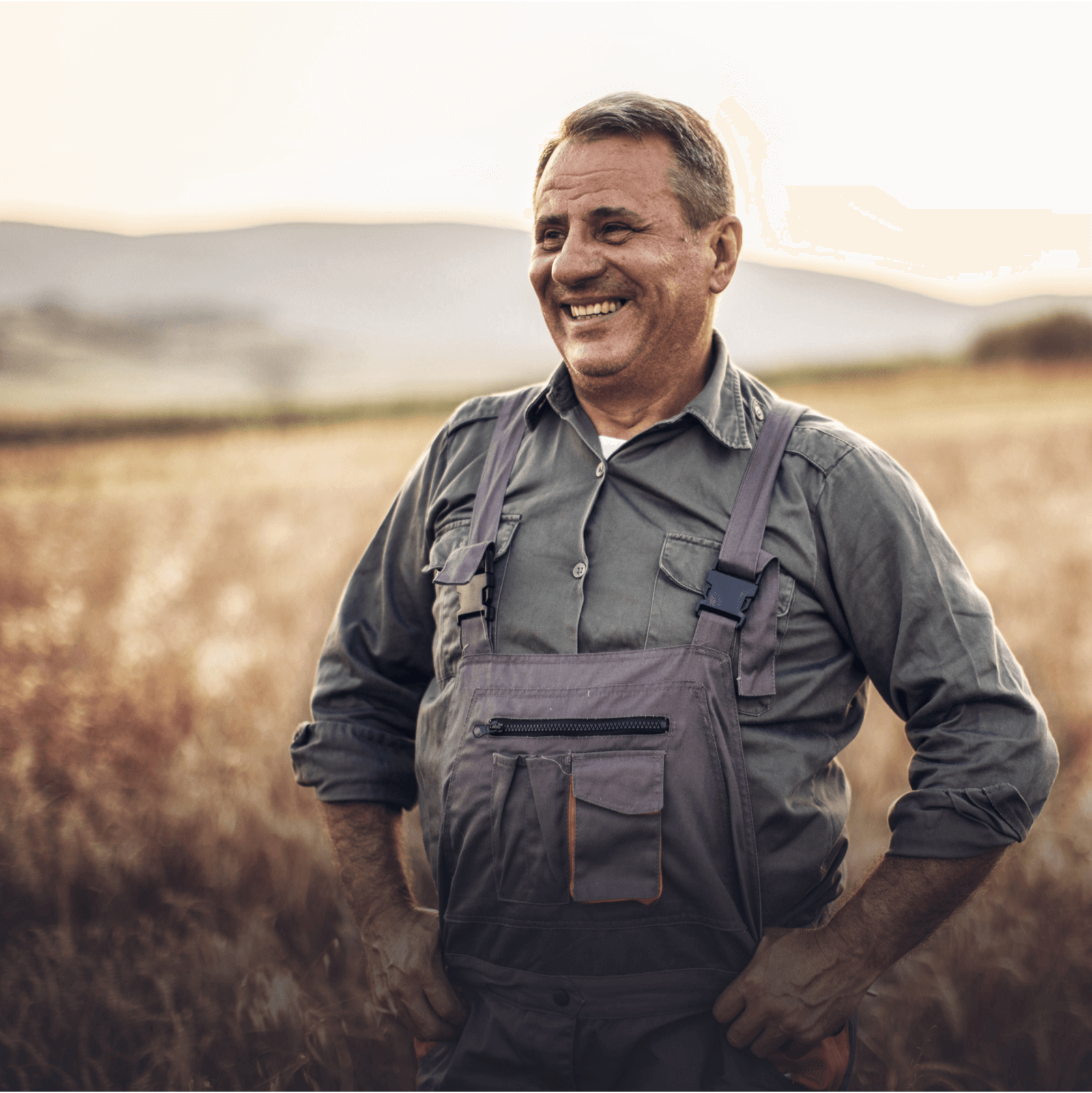  xarvio® HEALTHY FIELDS