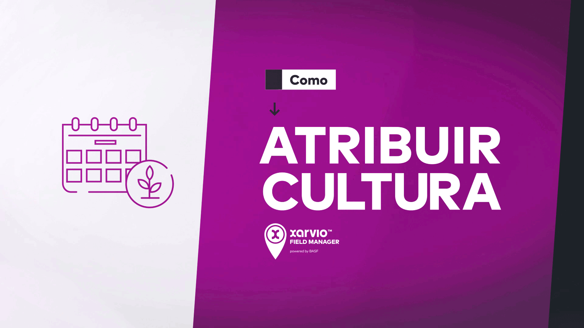 Como atribuir cultura no xarvio FIELD MANAGER