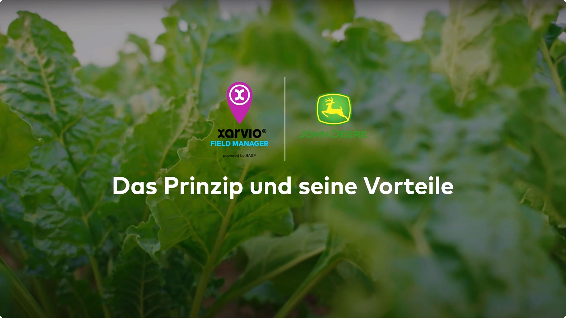 xarvio John Deere - Heikos Erfahrungsbericht - Das Prinzip und seine Vorteile