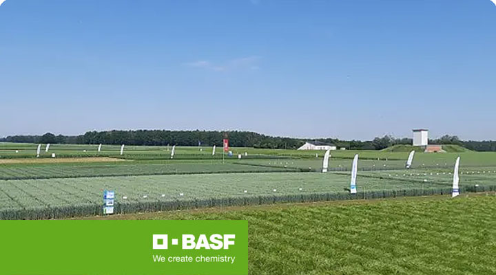 BASF-Feldtag Hüttendorf