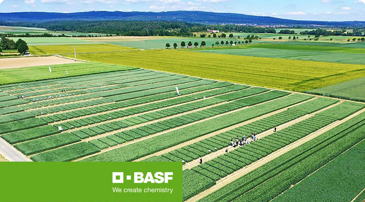 BASF Feldtag Entenpfuhl