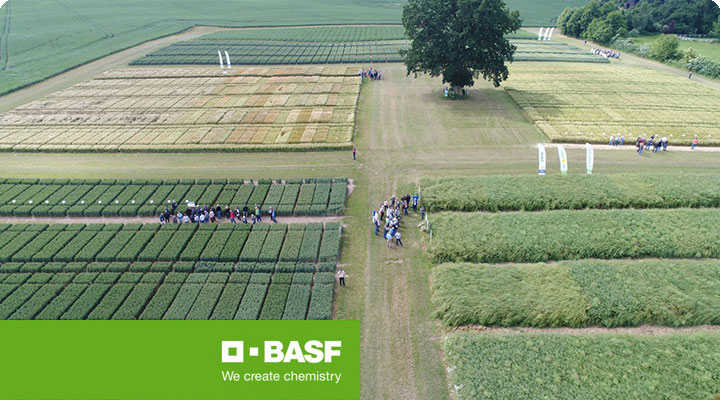 BASF-Feldtag Schleswig-Holstein